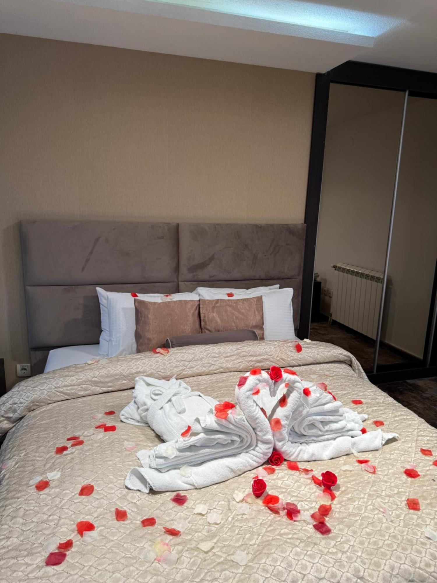 Guest House Panorama Aqualux With Free Parking نوفي ساد المظهر الخارجي الصورة