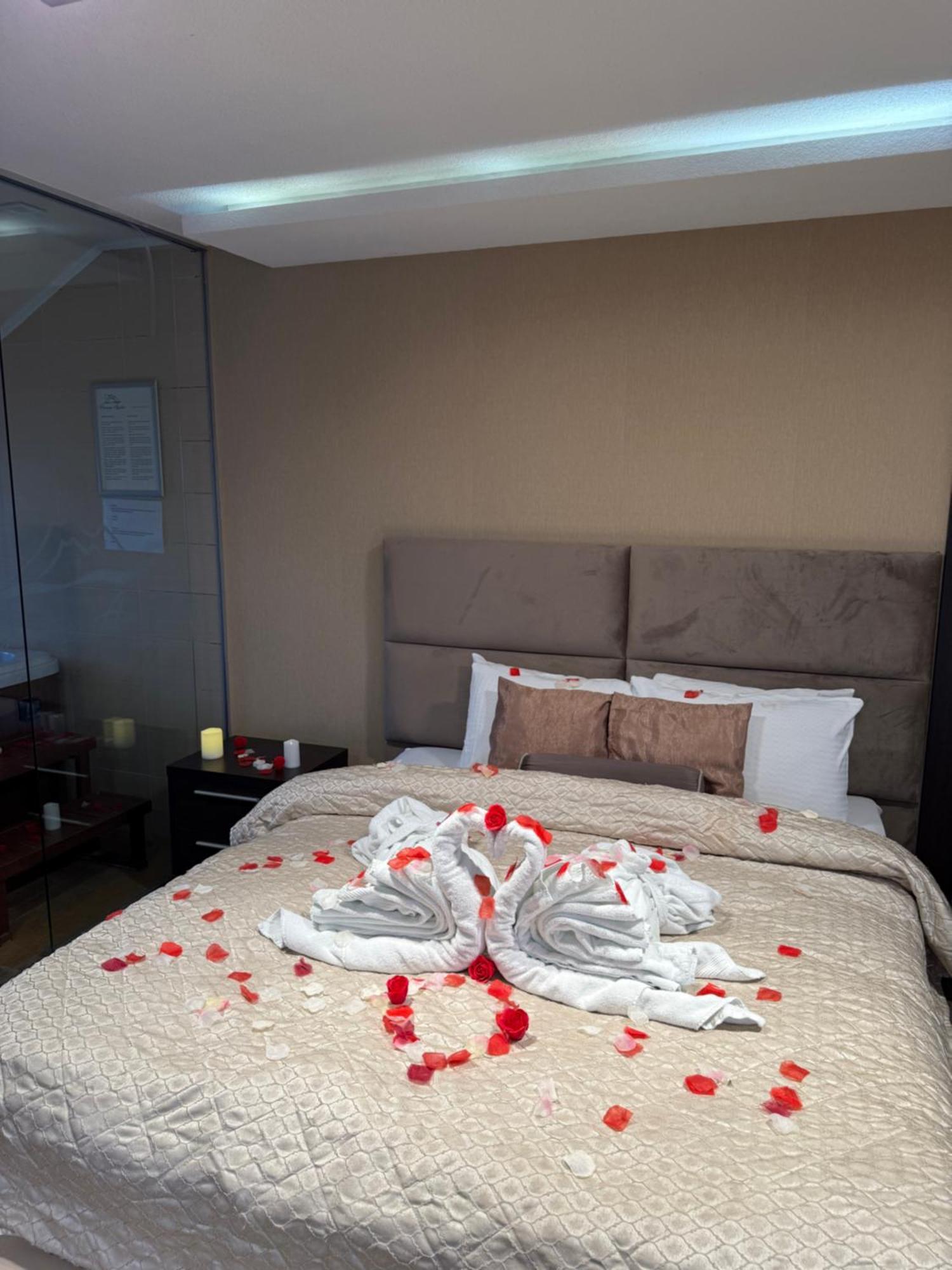 Guest House Panorama Aqualux With Free Parking نوفي ساد المظهر الخارجي الصورة